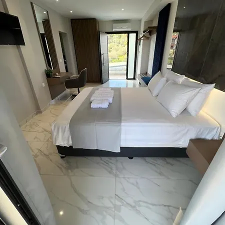 Guest house V Luxury
